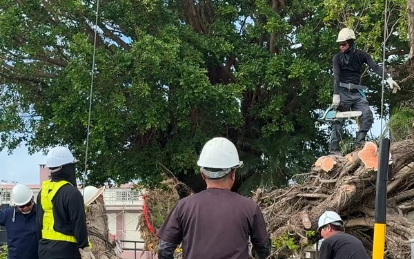 USAG Okinawa DPW clears Typhoon Bavi debris