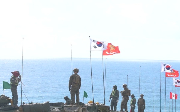B-Roll: U.S., Republic of Korea, and Peruvian marines conduct live-fire range