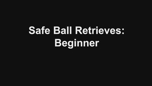 Safe Ball Retrieves - beginner