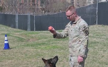 Safe Ball Retrieves - beginner