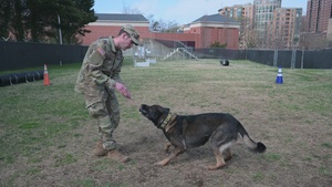 Appropriate Toy Interaction - intermediate