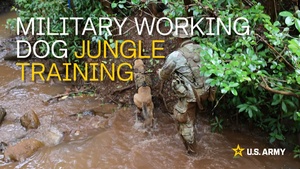 Military Working Dog Jungle Training