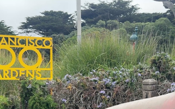 129th Rescue Wing Supports VFW Post 4103 at San Francisco Zoo