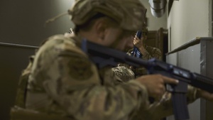 86AW Security Forces Annual Training
