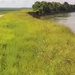 Village Creek Levee near Newport scheduled for permanent repairs