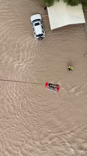 Texas Military Department Dog Rescue with Texas A&M Task Force 1