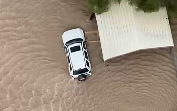 Texas Military Department Dog Rescue with Texas A&amp;M Task Force 1