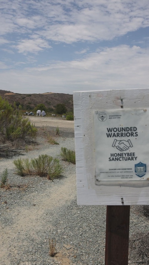 WWBN-West Service Members Participate in Beekeeping Program