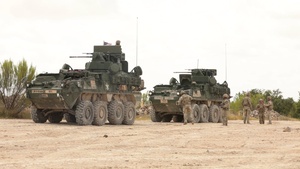 Spc. Harris, assigned to 6-56 ADAR, Conducts Maintenance on a Stryker,