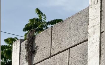Arkansas National Guard Guatemala Engineer Mission