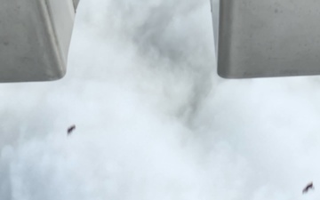 USDA Sterile Fly Aerial Dispersal Process of New World Screwworm