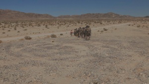 2nd Battalion, 5th Marines become first unit to take part in Counter- small unmanned aerial systems training