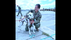 B-Roll: Therapy dogs visit Pacific Warfighting Center for morale boost during RIMPAC 2026