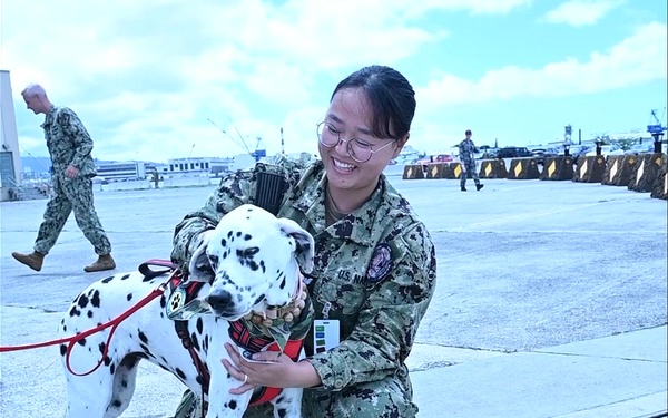 B-Roll: Therapy dogs visit Pacific Warfighting Center for morale boost during RIMPAC 2026