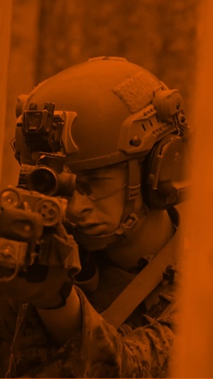 U.S. Marines, partner nations conduct amphibious raid training - Reel