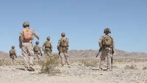 SLTE 4-26: 2nd Battalion, 2nd Marine Regiment Conduct C-sUAS Live Fire Training