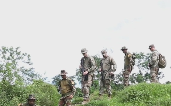 Jungle Operations Reel