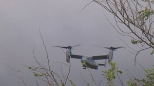 B-Roll: U.S. Marines, Peruvian Naval Infantry conduct combat patrol during RIMPAC tactical phase