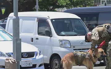 18th Security Forces Working Dog Handler BROLL