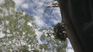 B-Roll: Predator’s Run 26: MRF-D Marines conduct multinational live-fire mortar drills