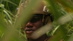 B-Roll: U.S. Marines, Peruvian Naval Infantry participate in force-on-force event