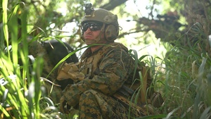 B-Roll: U.S. Marines, Mexican Naval Infantry participate in force-on-force event