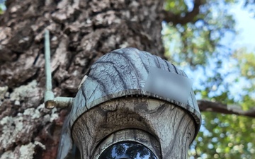 USDA Partner Texas Parks and Wildlife Department -- Game Camera and Animal Surveillance