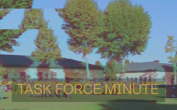 SETAF Task Force Minute: April - June