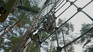 B-Roll: USAREUR-AF Best Squad Competition 2026 - Day Two: Stress Shoot and Obstacle Course