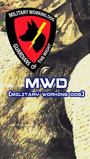 Military Working Dog team supports mission readiness at Luke AFB