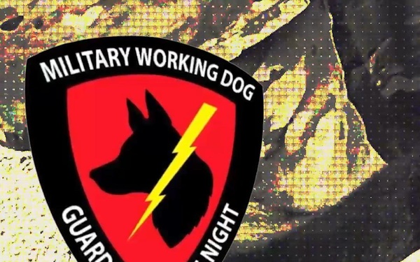 Military Working Dog team supports mission readiness at Luke AFB