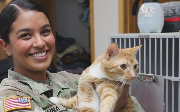 Sparta Vet Clinic 109th Medical Detachment (Veterinary Services) at WAREX 2026