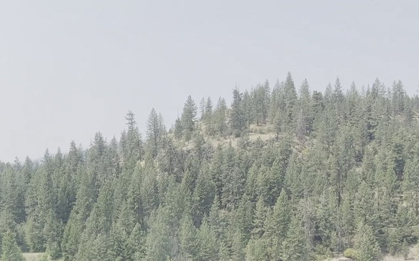 Washington National Guard Aviation Crews Support Statewide Wildfire Response