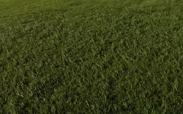 GoPro Footage: Screaming Eagles Conduct SPIES Training at Fort Campbell