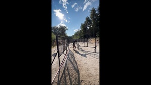 Army Soldiers Sweep USPSA Area 7 Championships