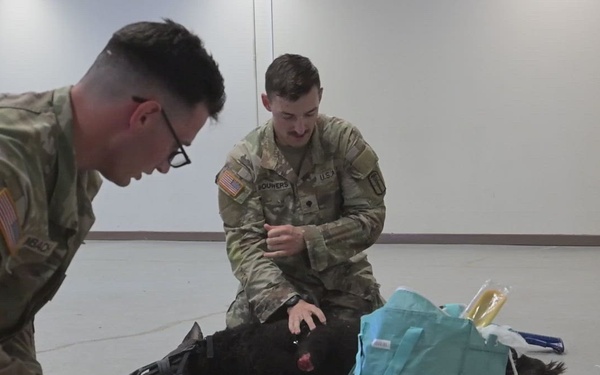 Military Working Dog Training B-Roll Package