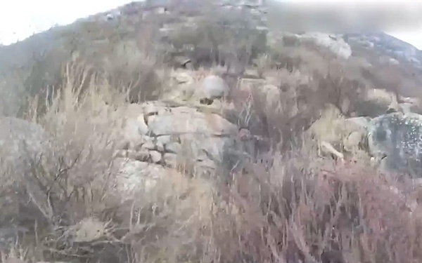 Border Patrol Agents and EMS Rescue Individual from Cottonwood Canyon