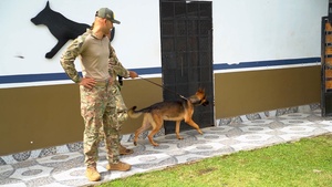 PANAMAX 2026 strengthens partnerships through multinational canine training - B-roll