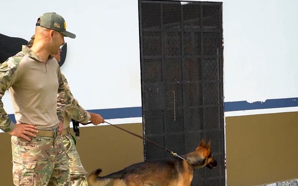 PANAMAX 2026 strengthens partnerships through multinational canine training - B-roll