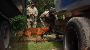 PANAMAX 2026 strengthens partnerships through multinational canine training