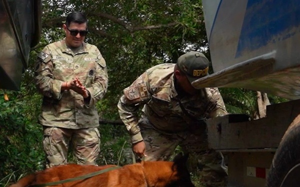 PANAMAX 2026 strengthens partnerships through multinational canine training