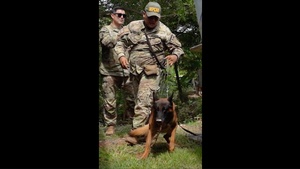 PANAMAX 2026 strengthens partnerships through multinational canine training