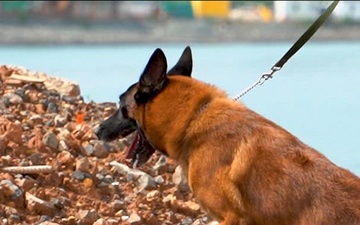 PANAMAX 2026 strengthens partnerships through multinational canine training