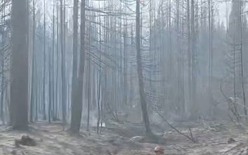 Washington National Guard Soldiers and Airmen Support Firefighting Operations at Little Giant Fire
