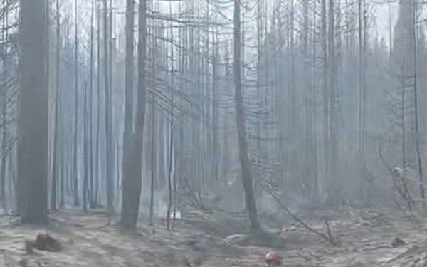 Washington National Guard Soldiers and Airmen Support Firefighting Operations at Little Giant Fire