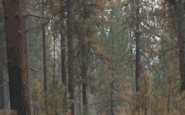 B-Roll of the Day 1 training recap of the Wildland Fire Fighting 2026 Mission