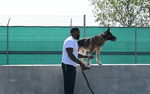 K9 Uram Disposition