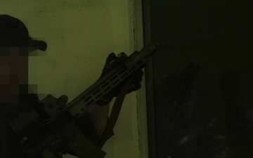 PANAMAX 26: U.S. Marine Raiders, partner forces capture simulated high-value target