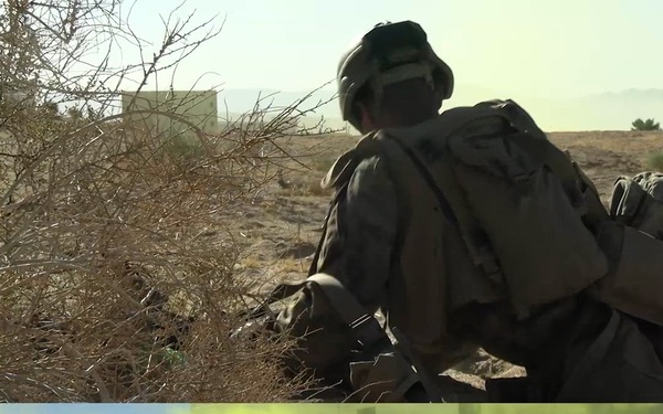 Athletic trainer supports 2nd Bn., 1st Marines, during AFX 4-26