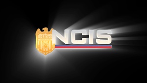 Marines to NCIS - Janel Turner